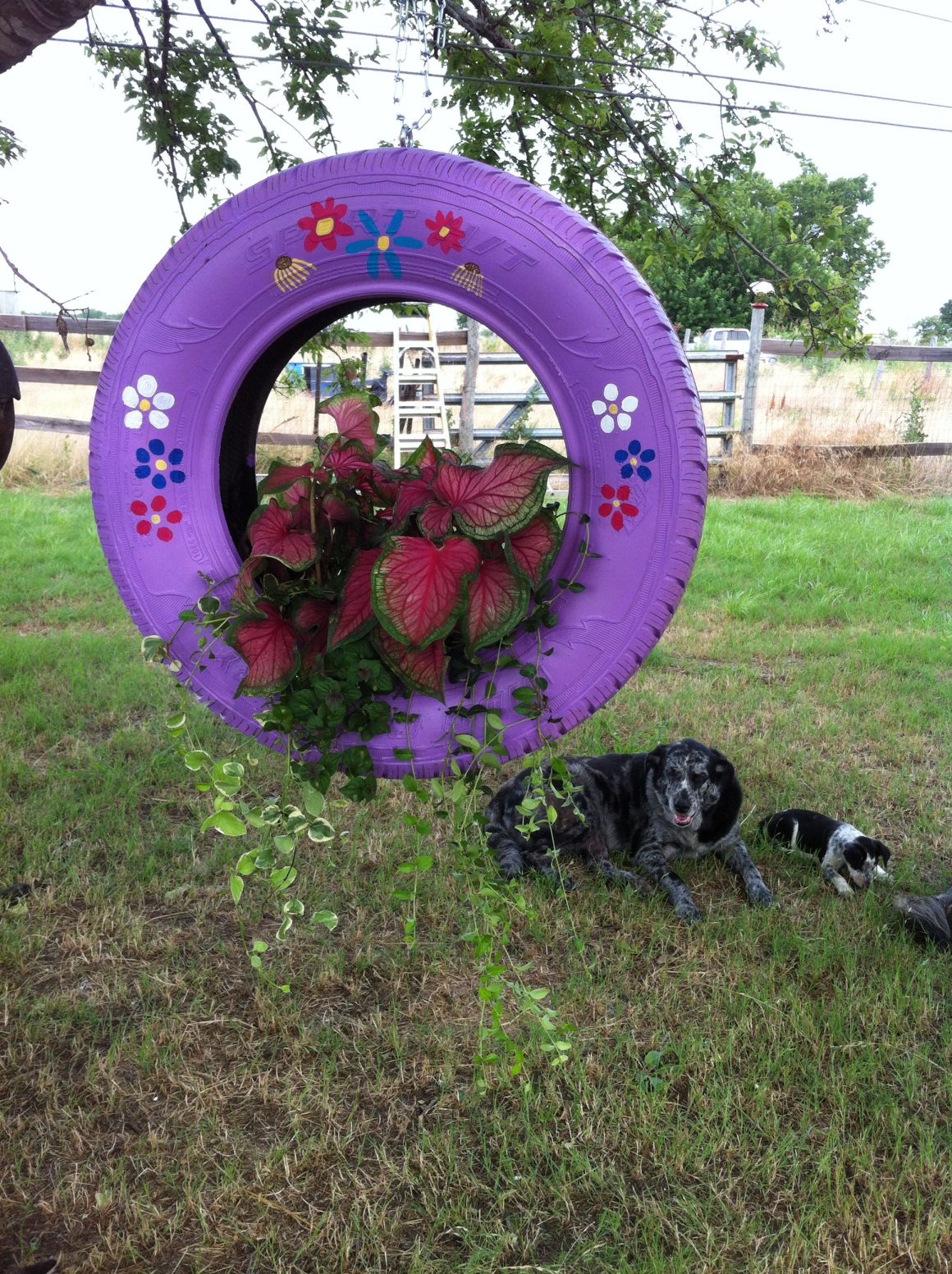 Diy Tire Planters That Will Catch Your Attention Engineering Discoveries