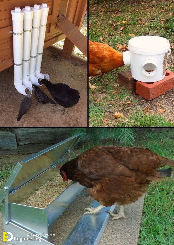 Diy Chicken Feeder Ideas You Can Diy This Weekend Engineering