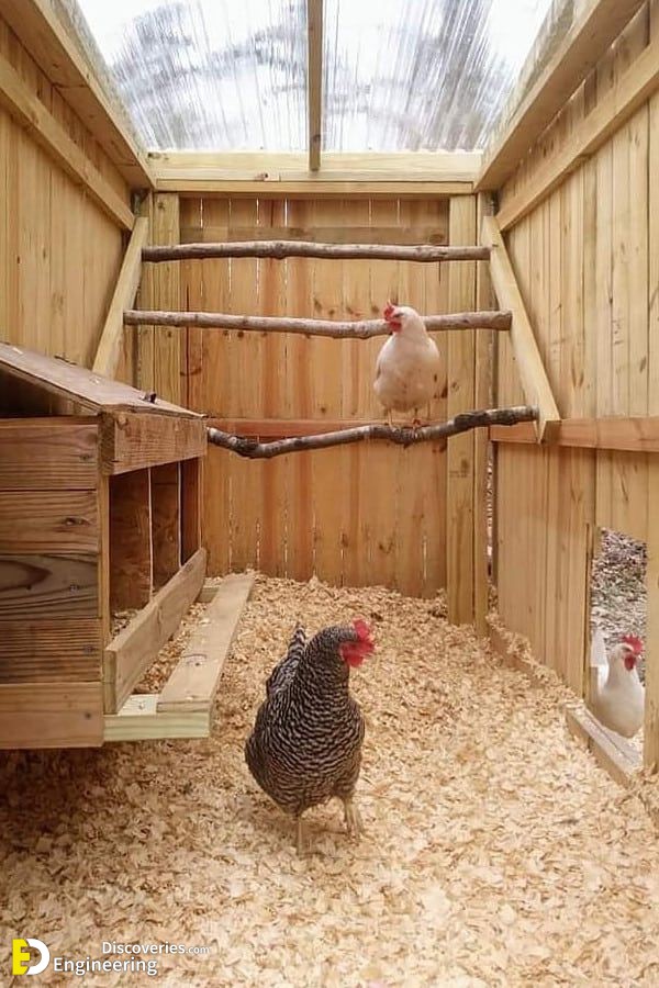 DIY Chicken Coop Plans You Can Build Easy!!