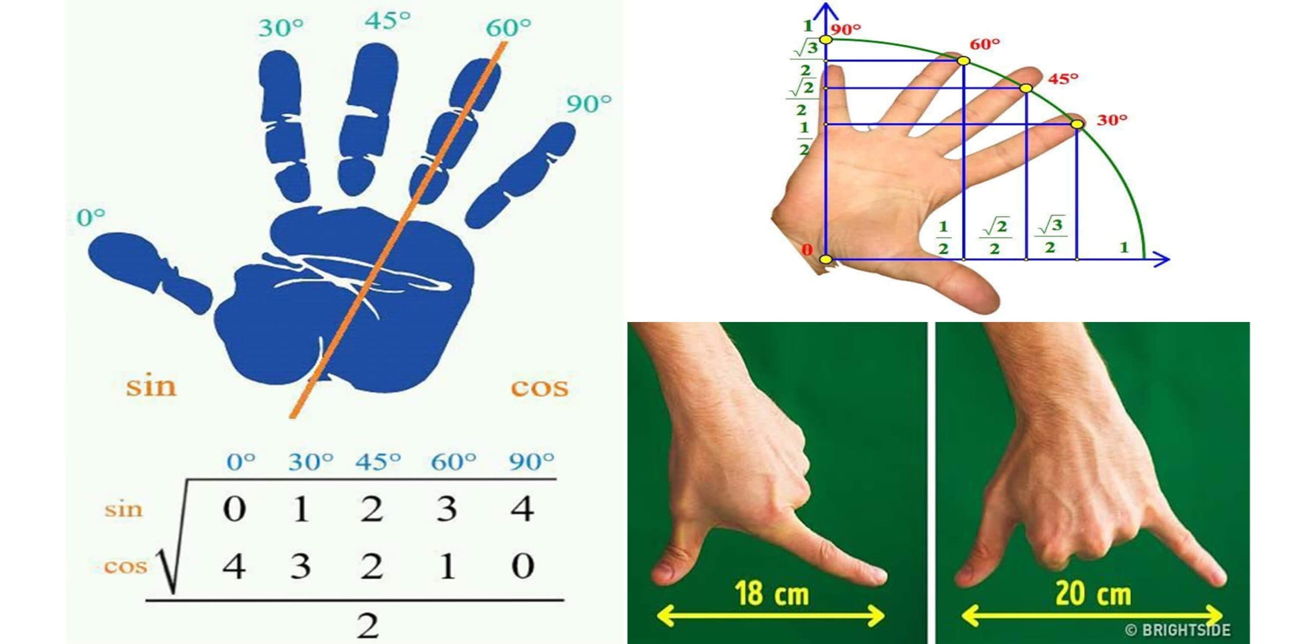 Measure Everything Only With Your Hands