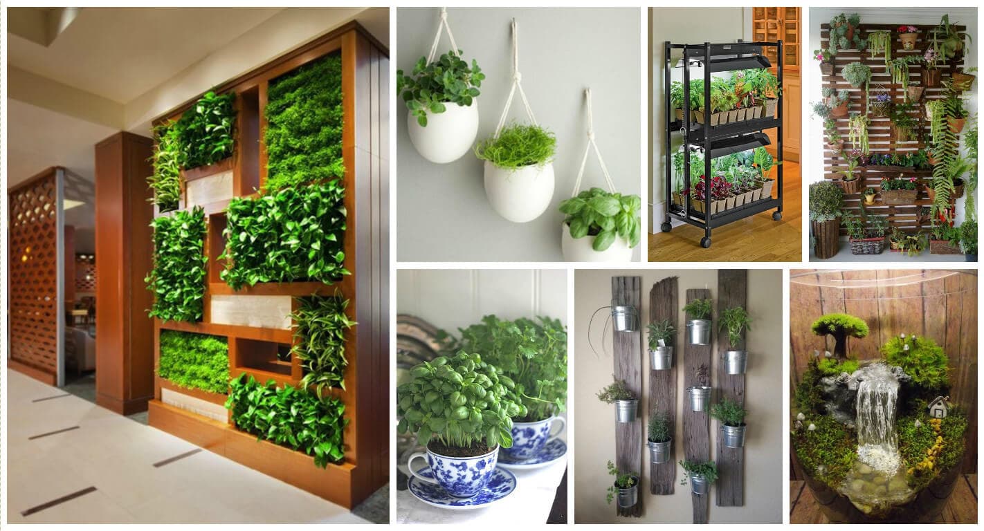 15 Glorious Indoor Garden That You Could Easily Grow In Your Home