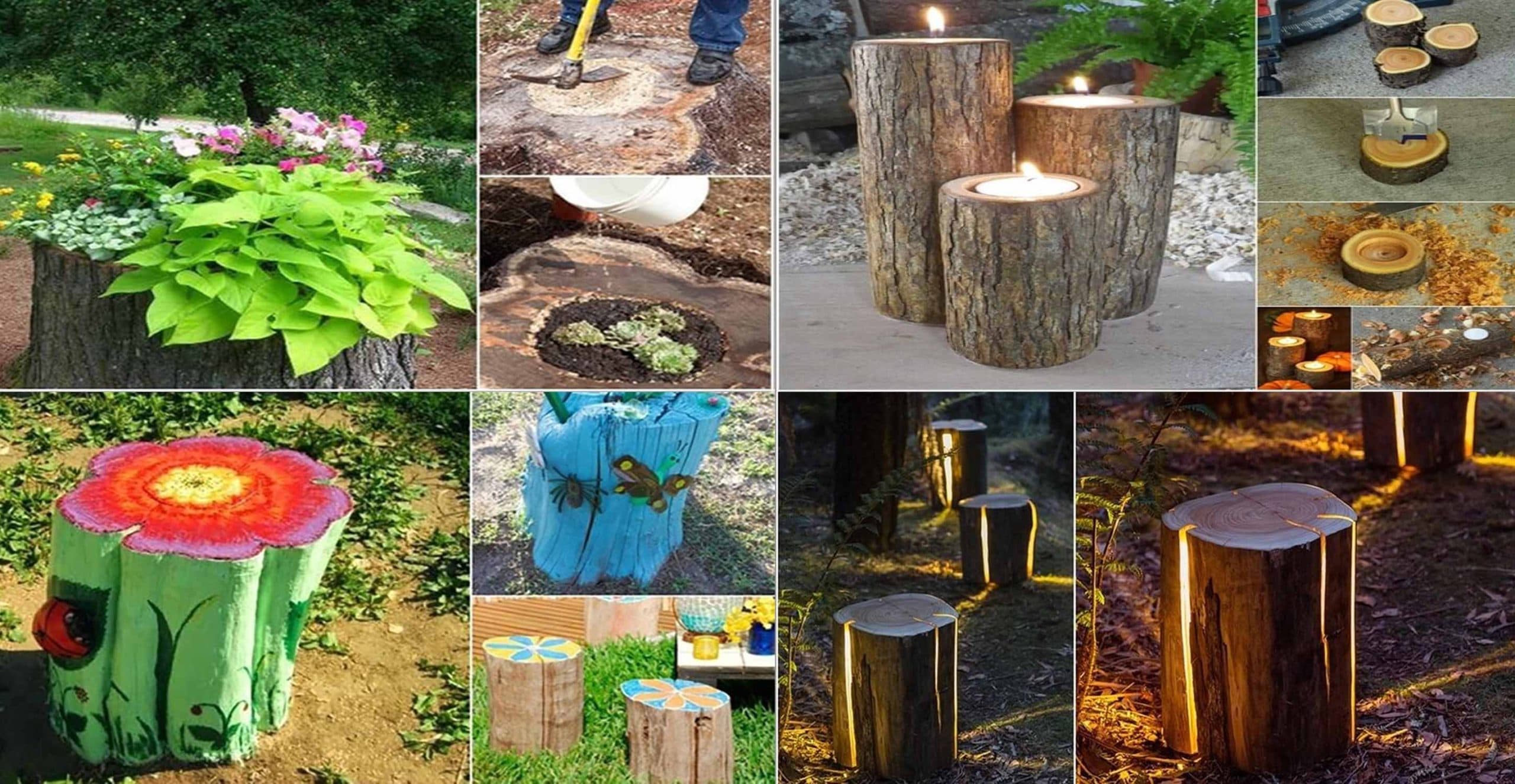 10 Absolutely Wonderful Tree Stump Landscaping And Decor Ideas