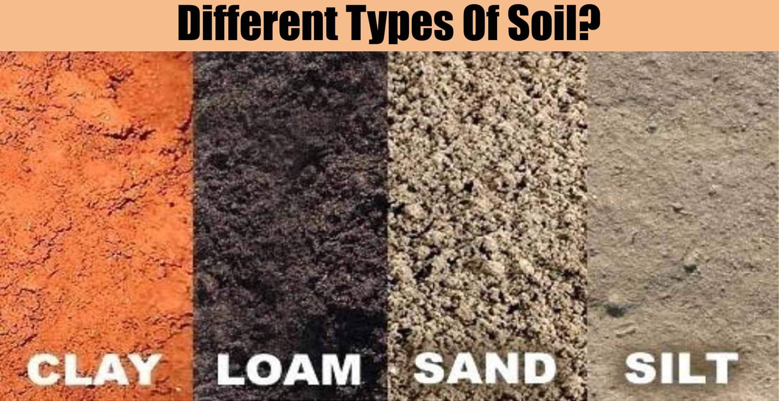 Different Types Of Soil?