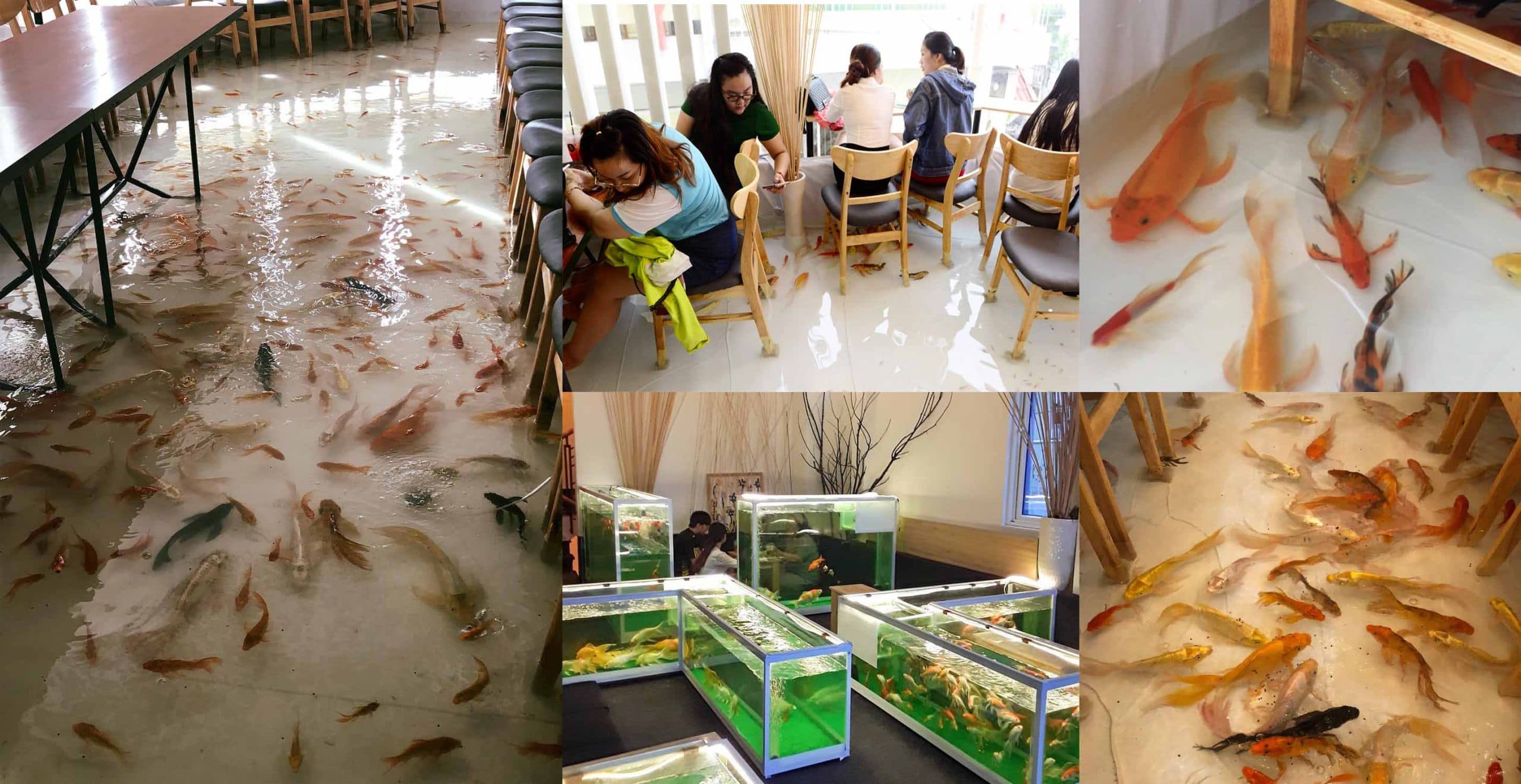 Please Don’t Step On The Fish! Vietnam’s Unique Flooded Cafe