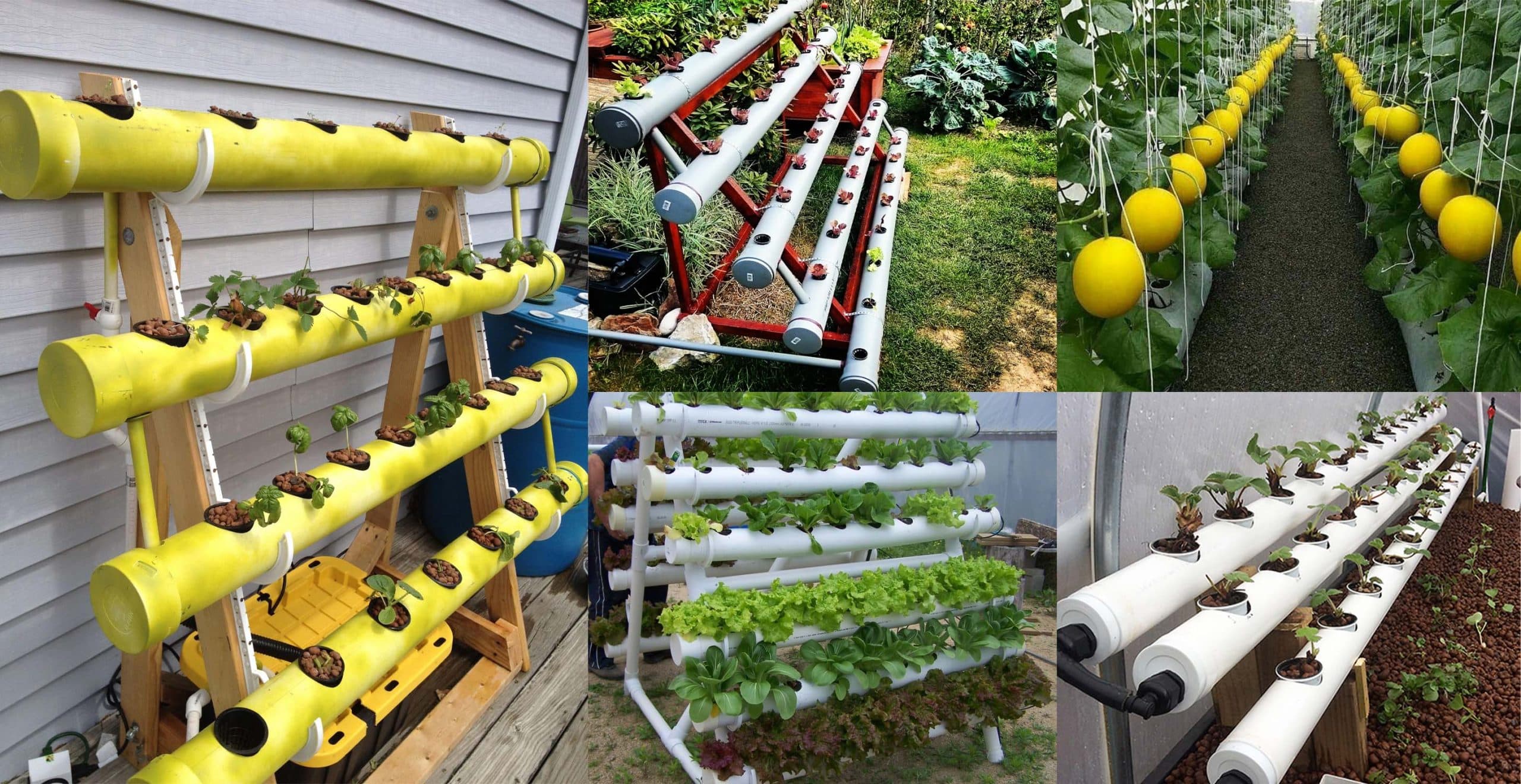 How To Make Home Garden And Fresh Vegetables By PVC Pipe