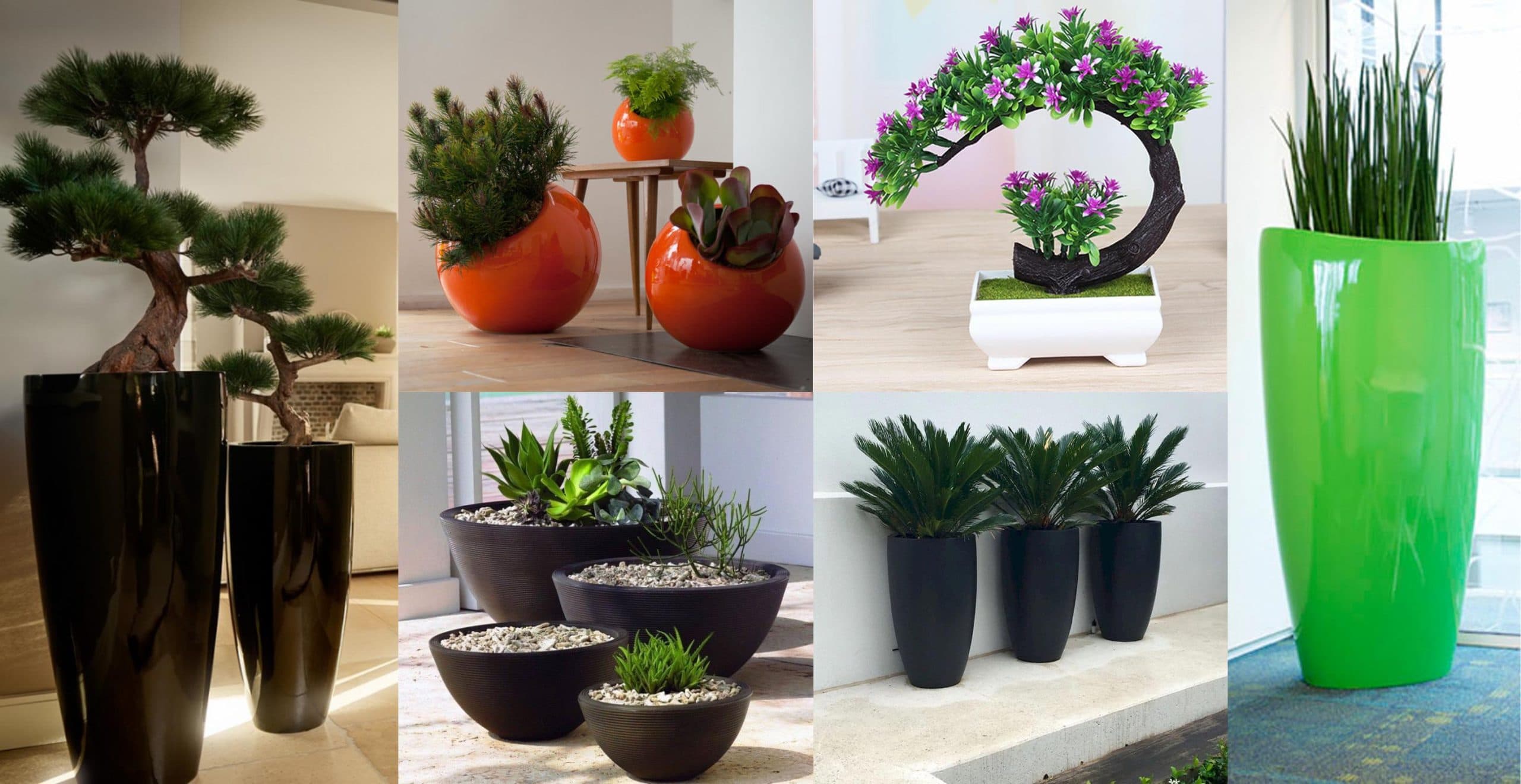 Amazing DIY Pot Ideas For Plants