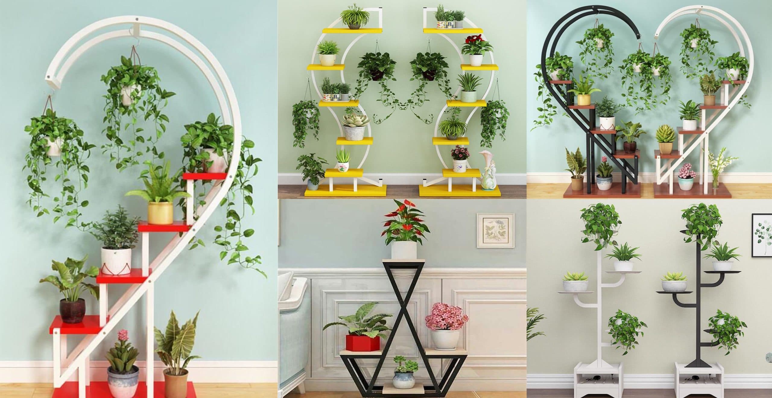 Amazing Plant Shelf Design Ideas