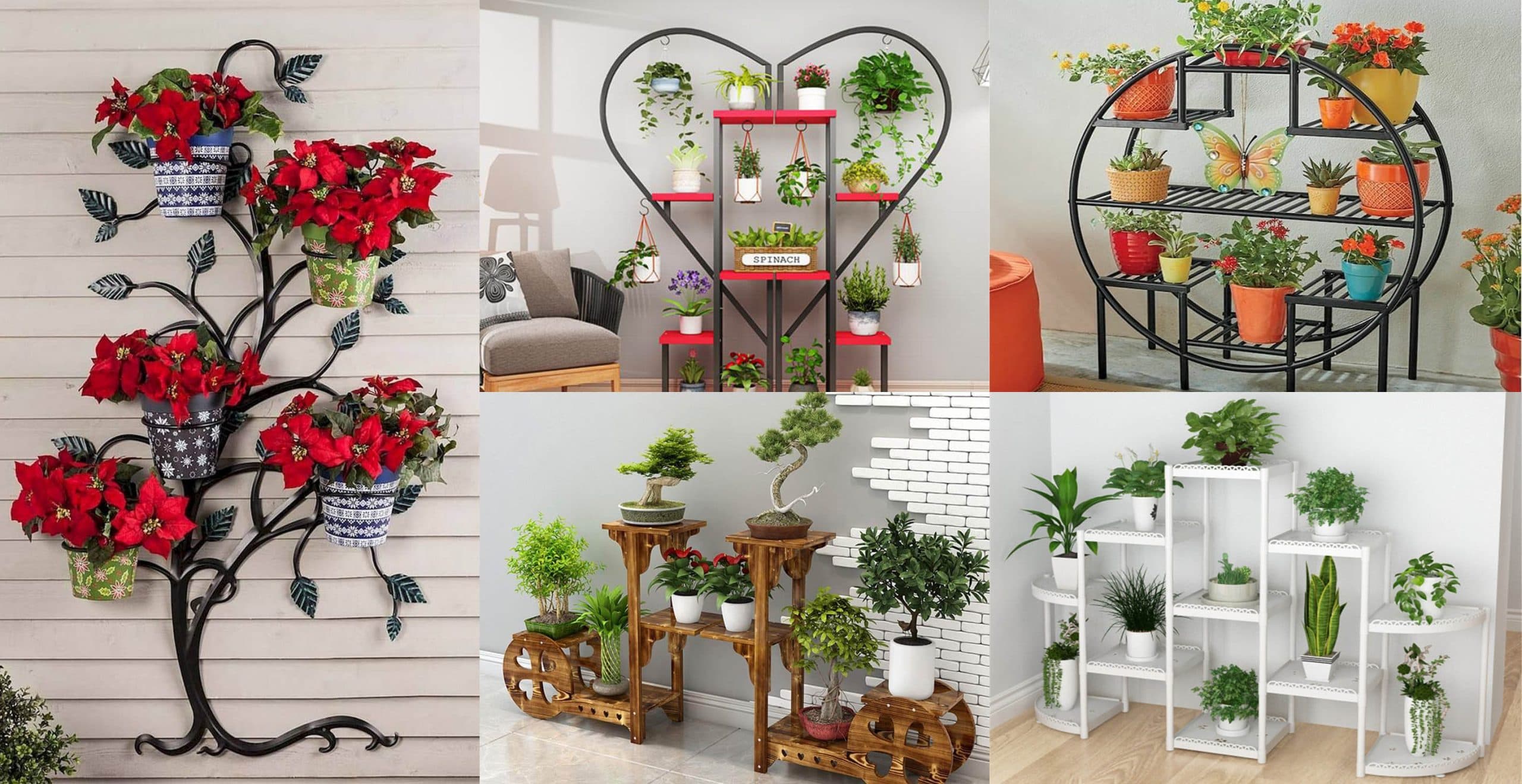 Modern Plant Shelf Ideas For Small Space