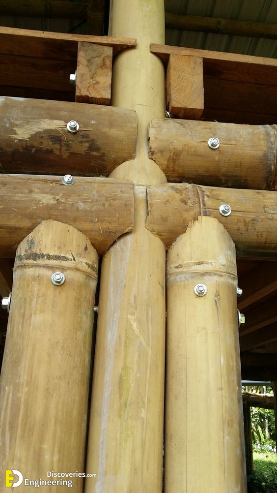 Fine Beautiful Info About Is Bamboo Stronger Than Plastic