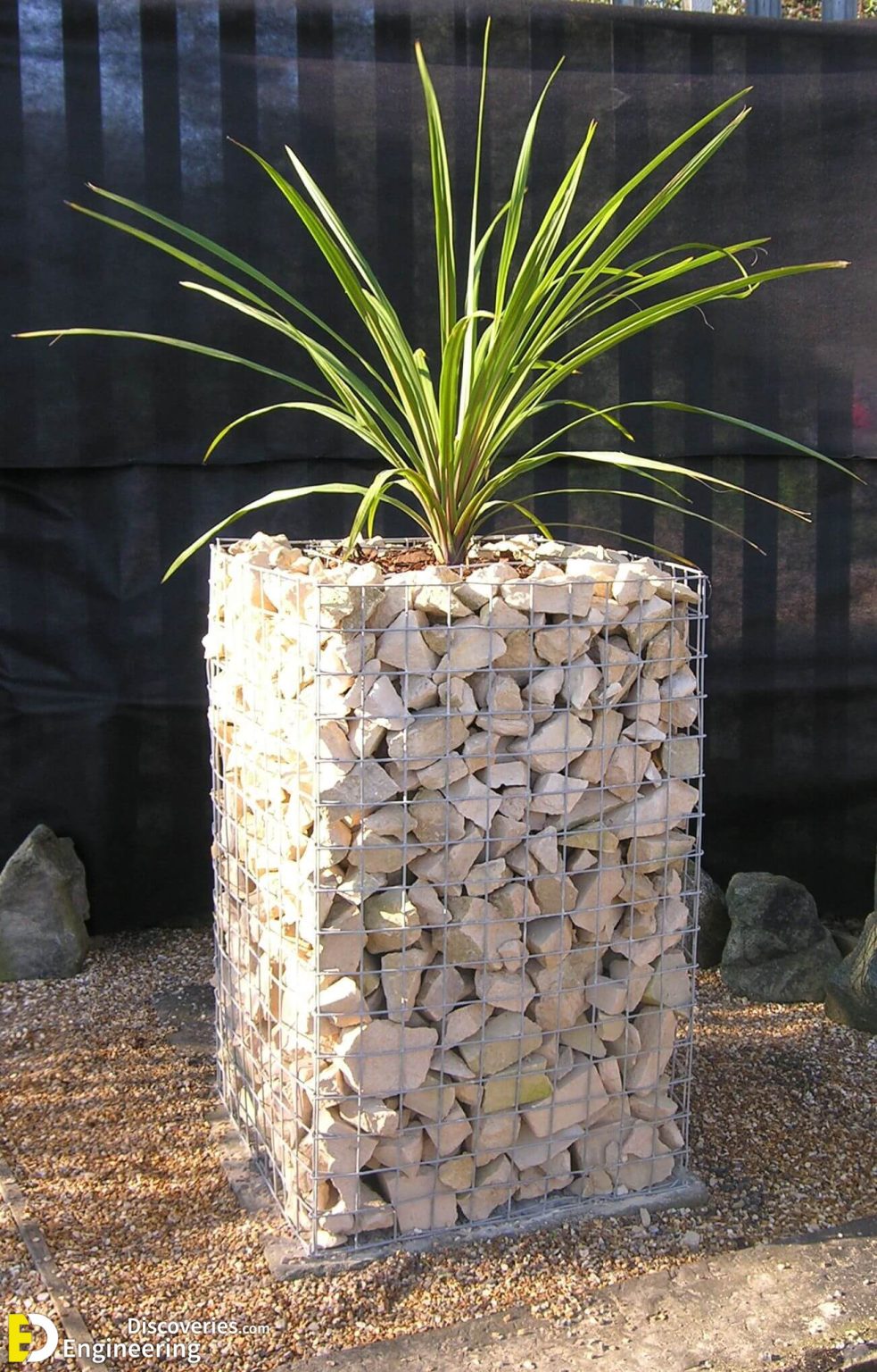 Top 50 Modern Gabion Planter Ideas And Learn How To Build It ...