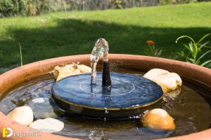 Solar Fountain Pump | Engineering Discoveries