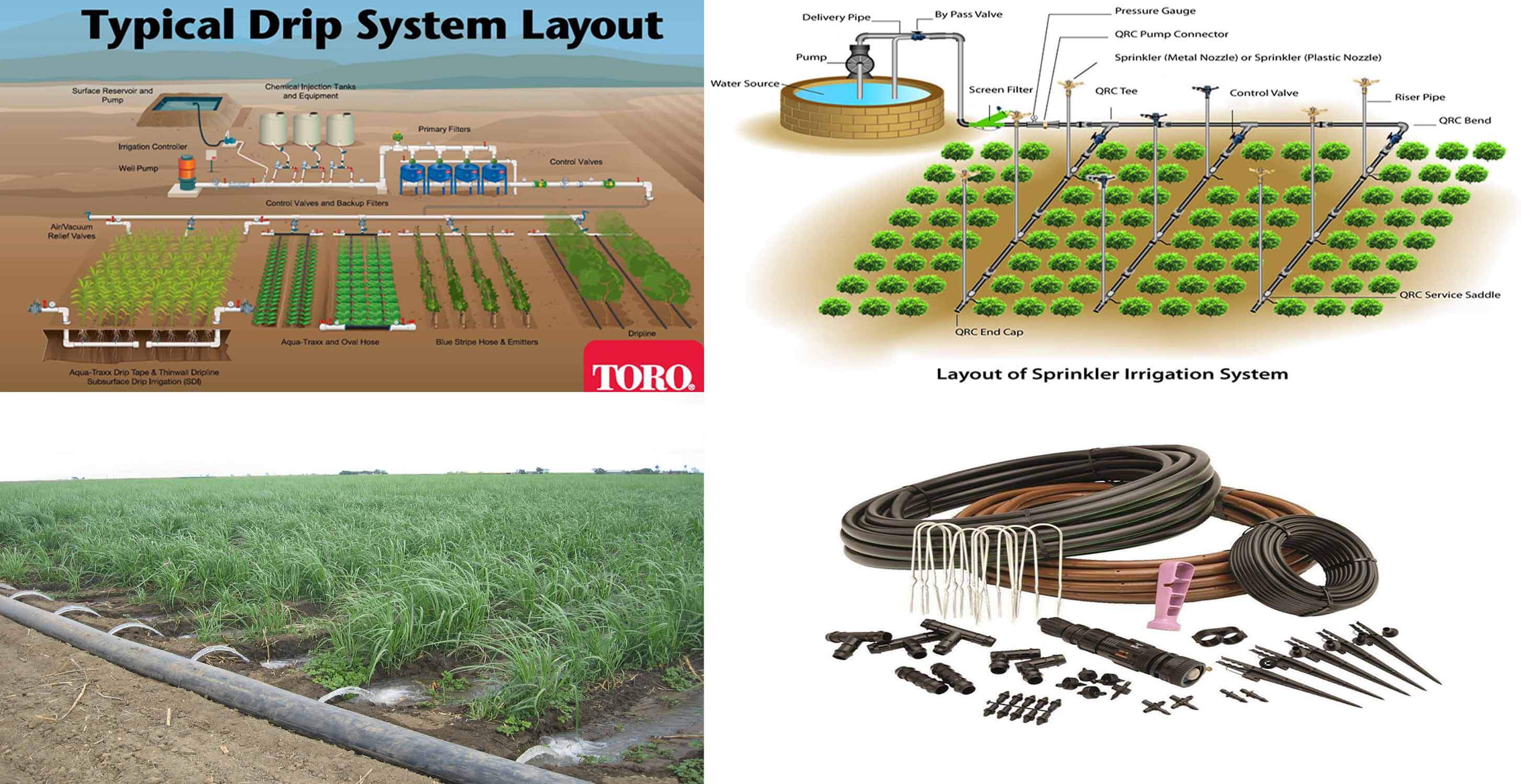 drip or trickle irrigation