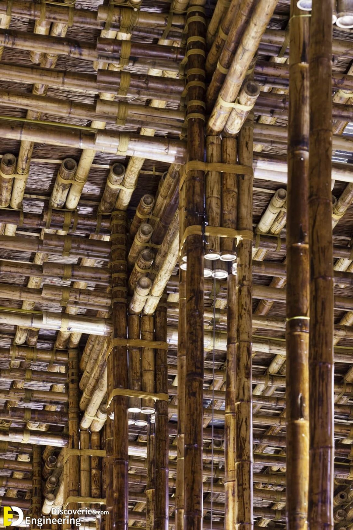 What Are The Advantages And Disadvantages Of Bamboo In Construction Engineering Discoveries