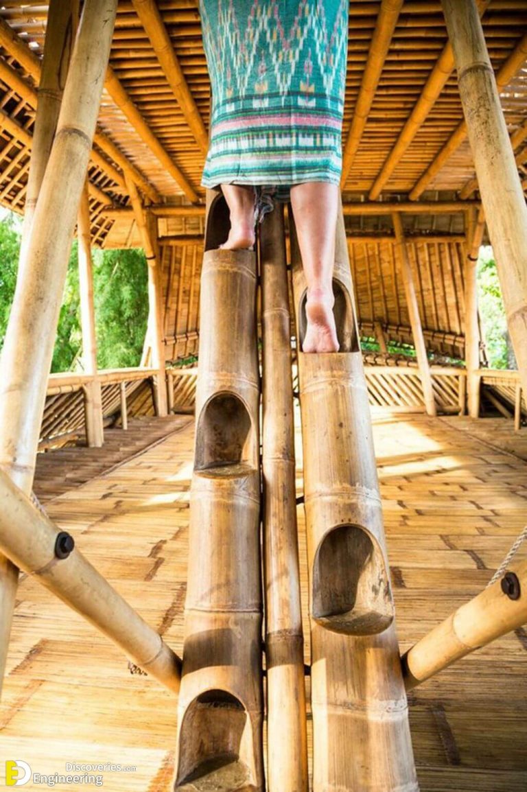 What Are The Advantages And Disadvantages Of Bamboo In Construction Engineering Discoveries