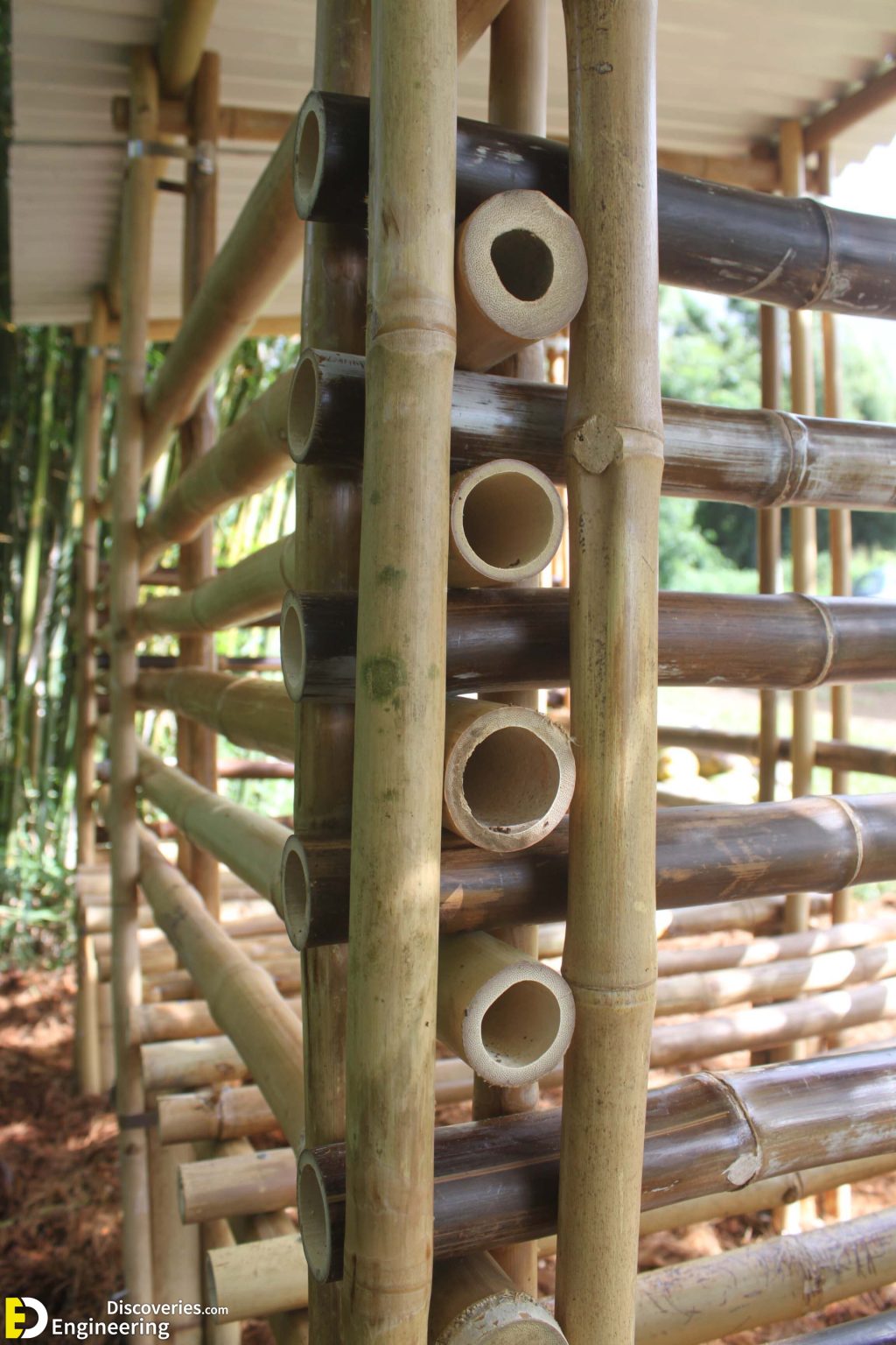 What Are The Advantages And Disadvantages Of Bamboo In Construction Engineering Discoveries