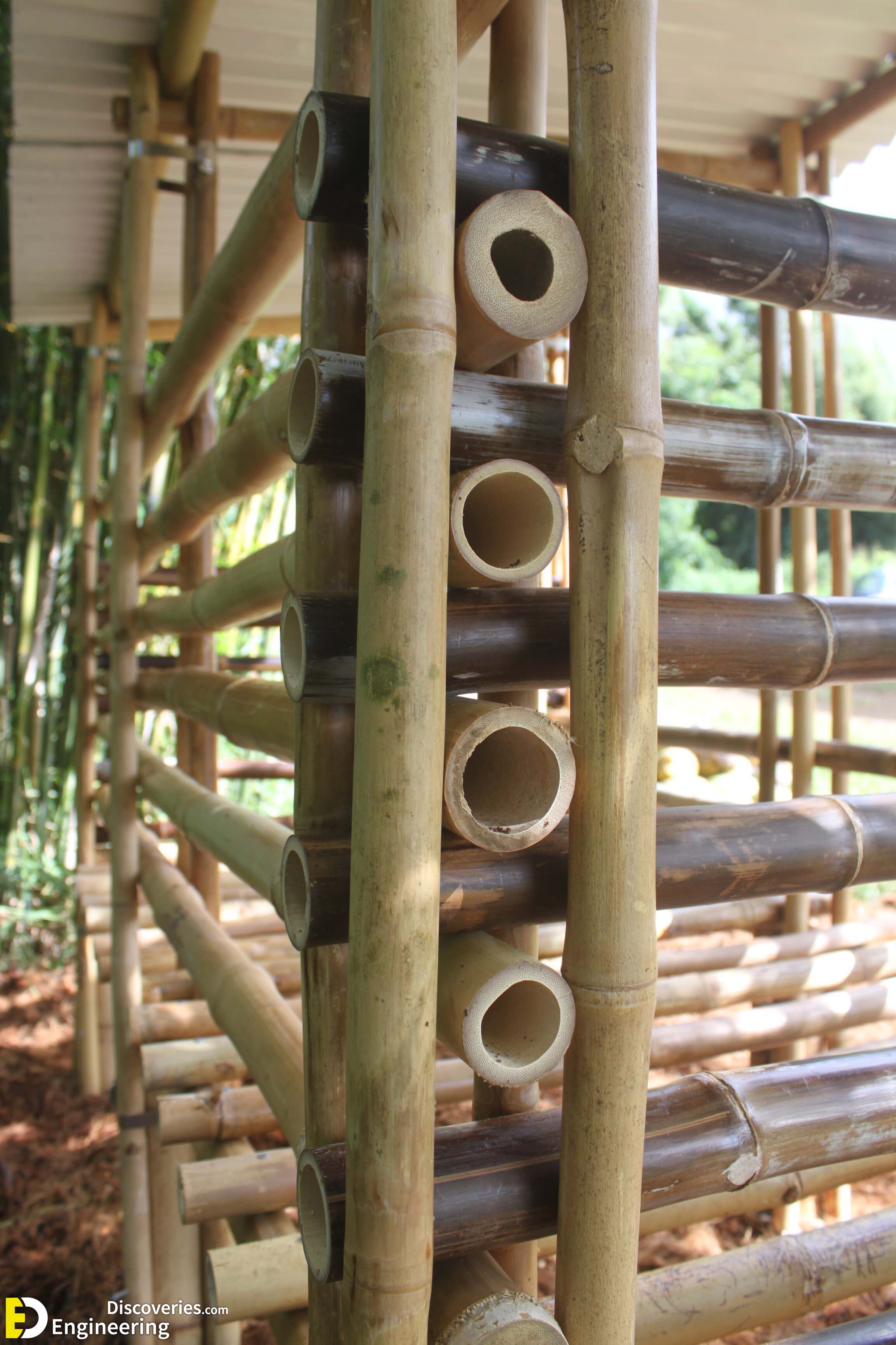What Are The Advantages And Disadvantages Of Bamboo In Construction