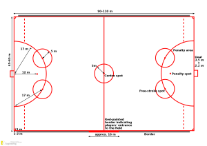 Different Types Of Stadium Dimensions | Engineering Discoveries