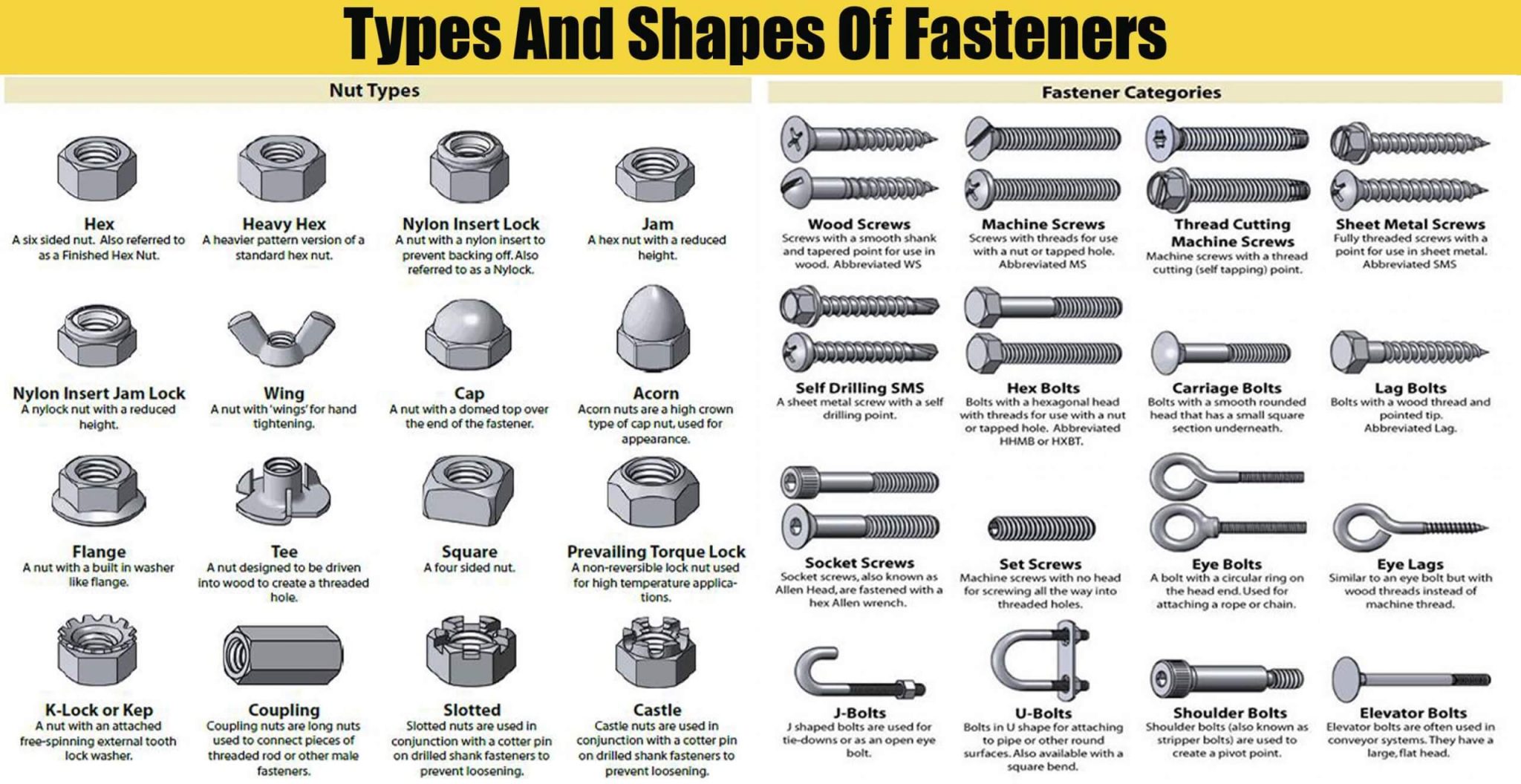 Types And Shapes Of Fasteners, Nuts, Screw Head, And washers ...
