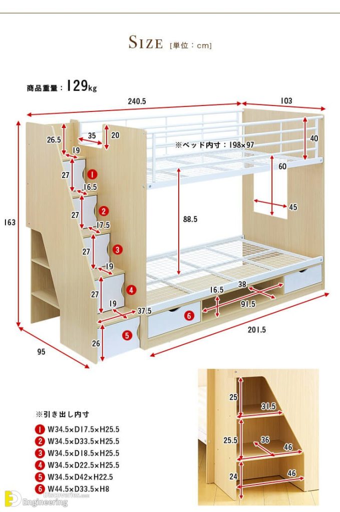 Amazing Bunk Bed Designs With Dimension - Engineering Discoveries