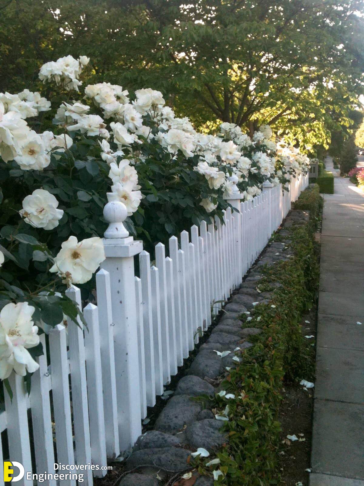 romantic-home-white-picket-fence-love-312663.jpg