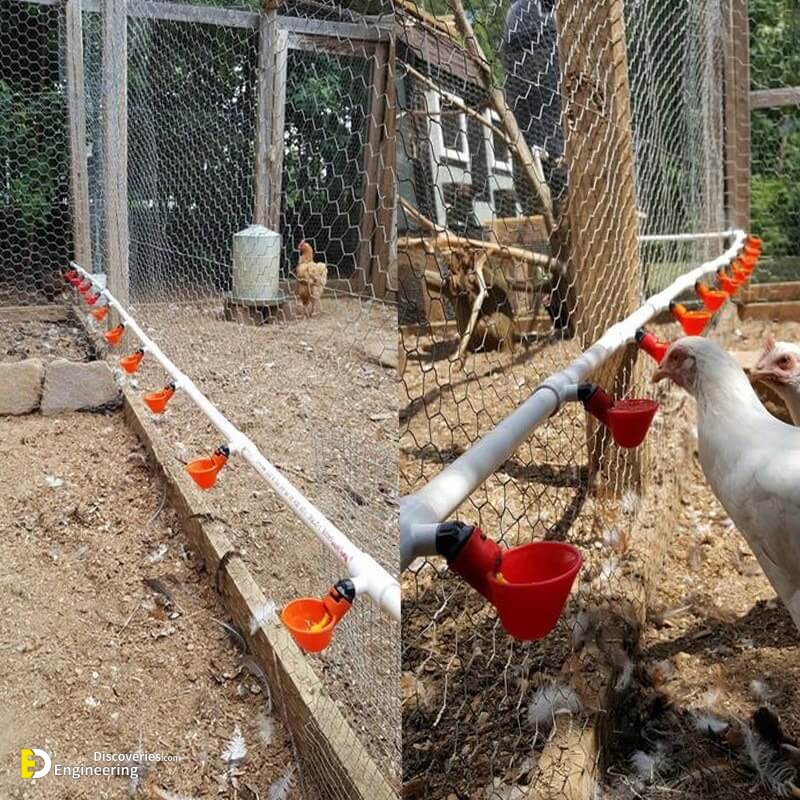 10-bebedouro-automatico-copinho-frango-galinha-codorna-aves-D_NQ_NP_600700-MLB29957243851_042019-F.jpg