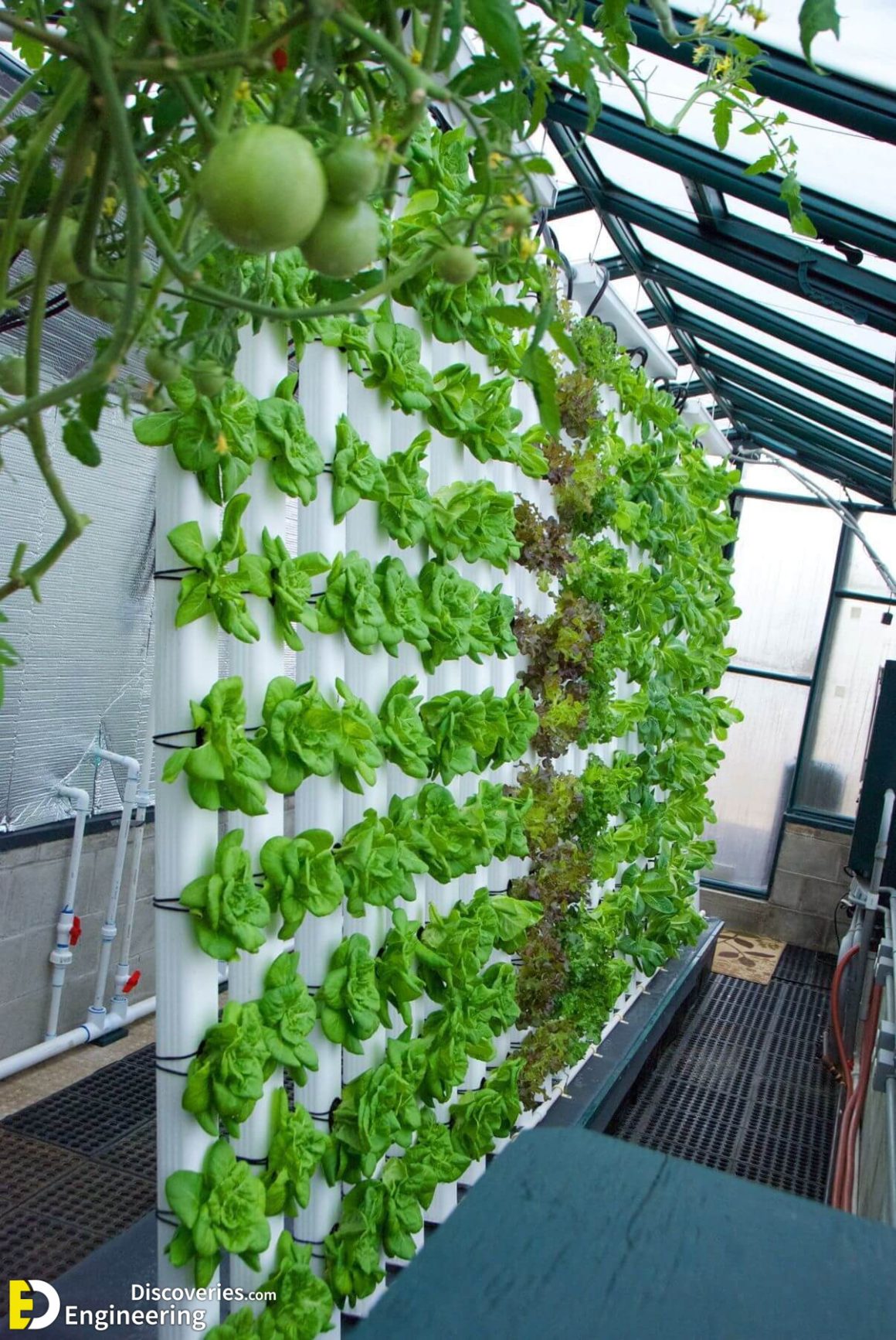 How To Make Home Garden And Fresh Vegetables By PVC Pipe Engineering