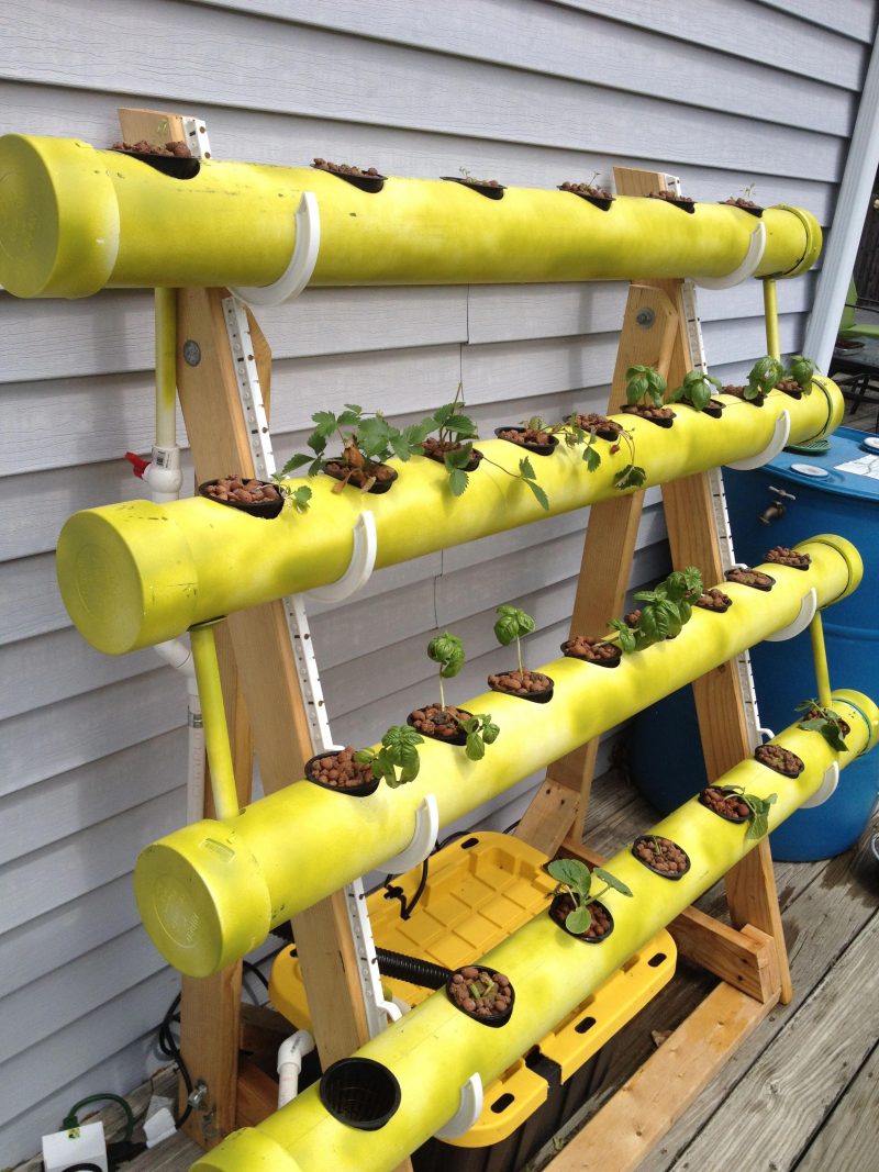 How To Make Home Garden And Fresh Vegetables By PVC Pipe Engineering