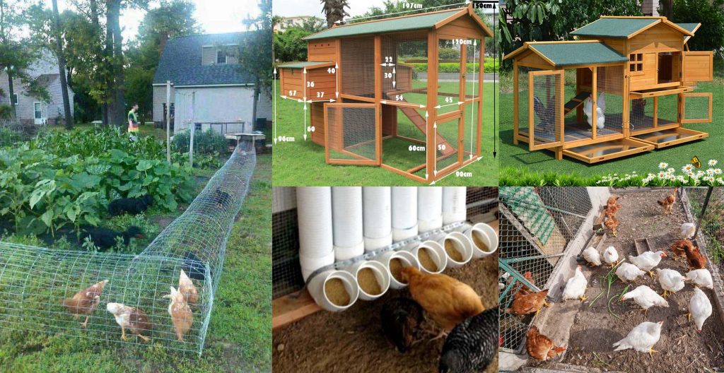 50 Beautiful DIY Chicken Coop Ideas You Can Actually Build ... - UntitleD 1ulul 1024x528