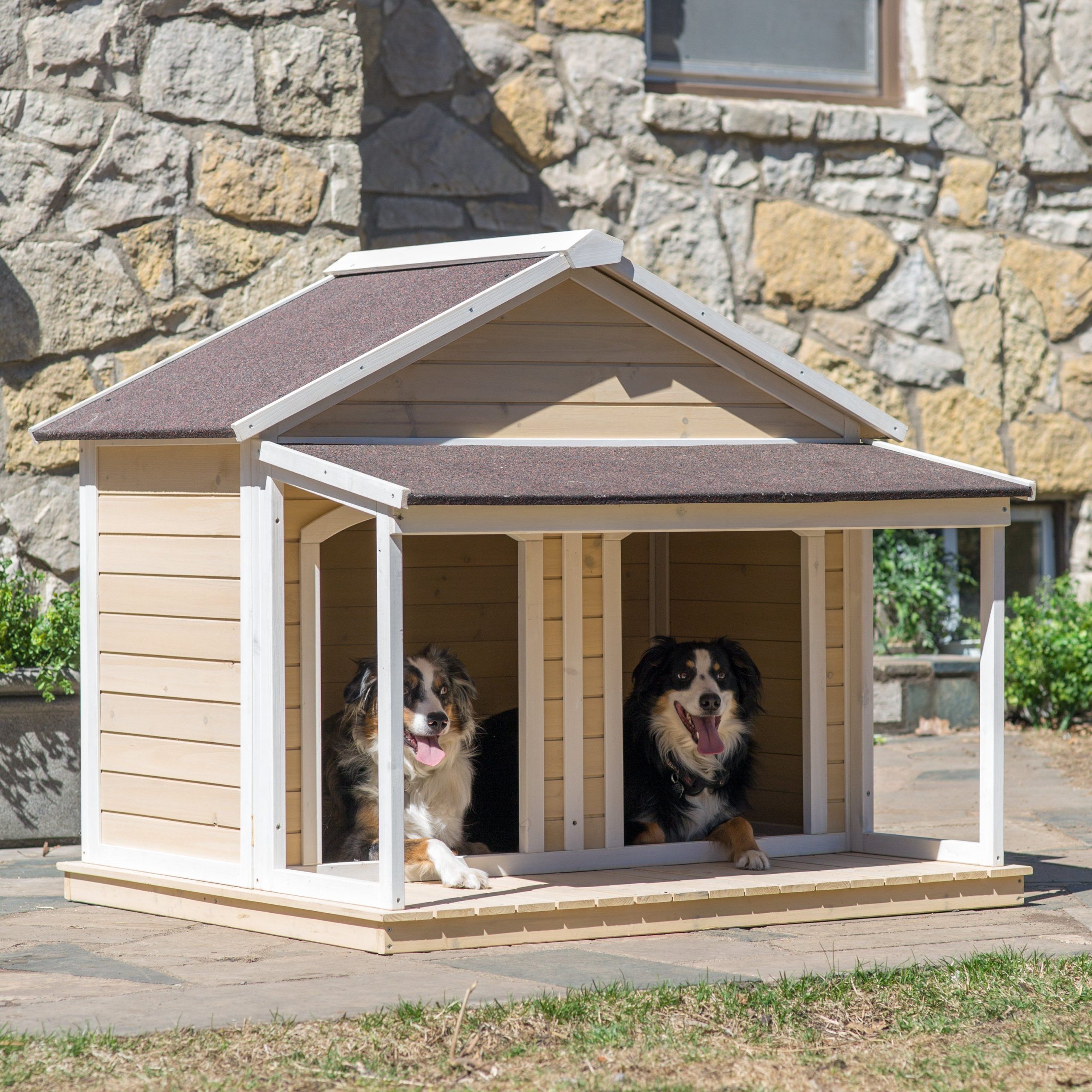 Two dog best sale house plans