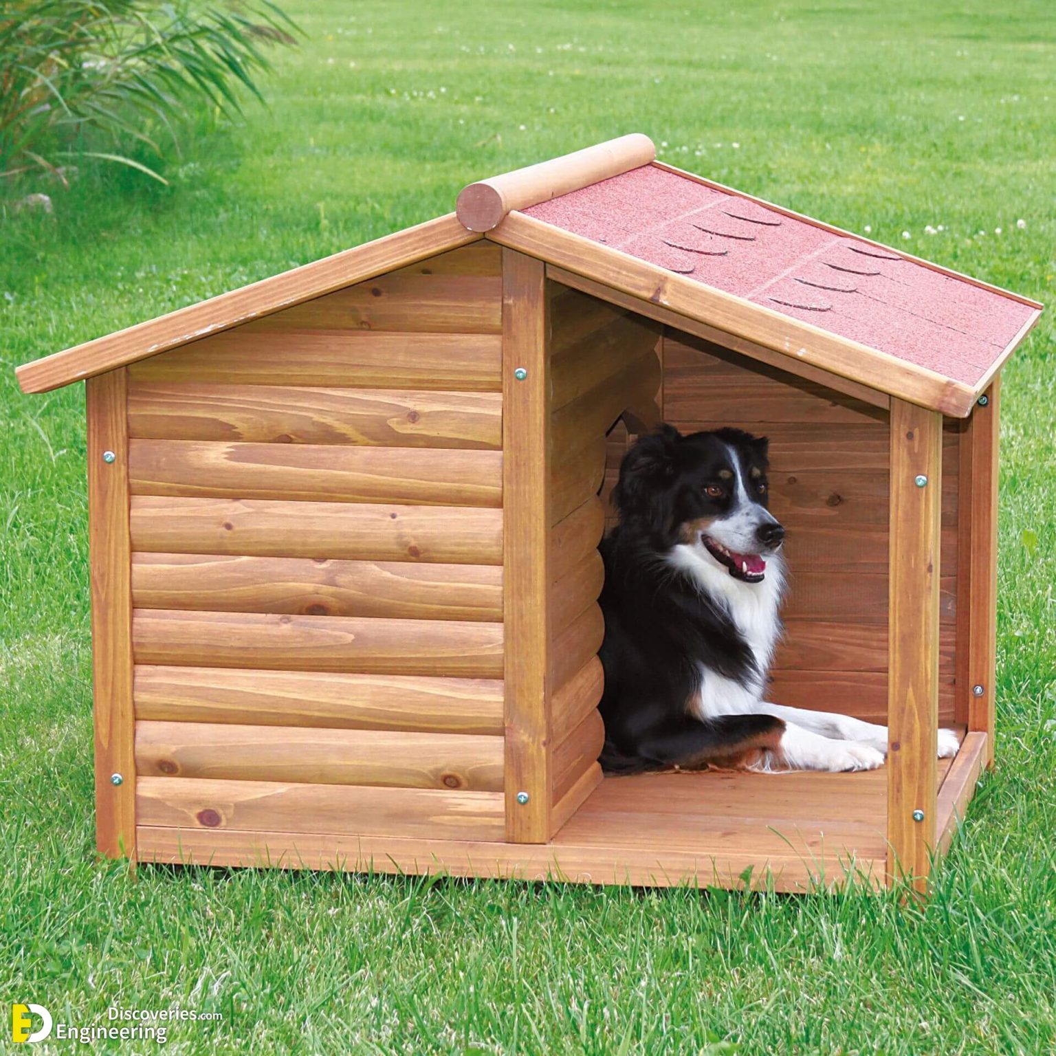 Dog House Design Idea And Dimensions Engineering Discoveries