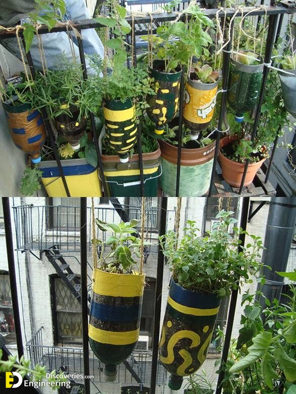 117964-Diy-Plastic-Bottle-Herb-Hanging-Garden.jpg