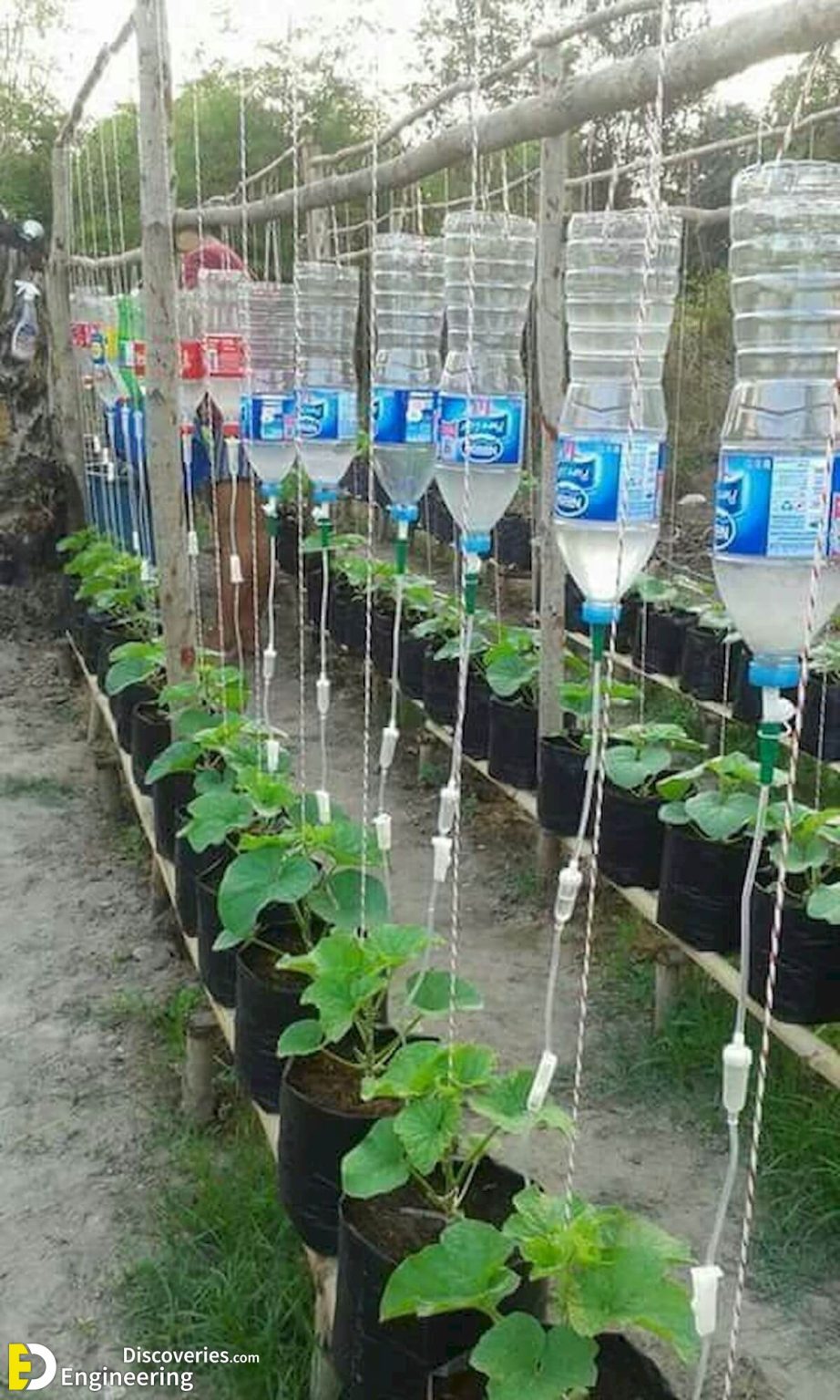 How To Reuse Plastic Bottles For Gardening Engineering Discoveries