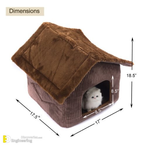 41UhU33nM6L.jpg