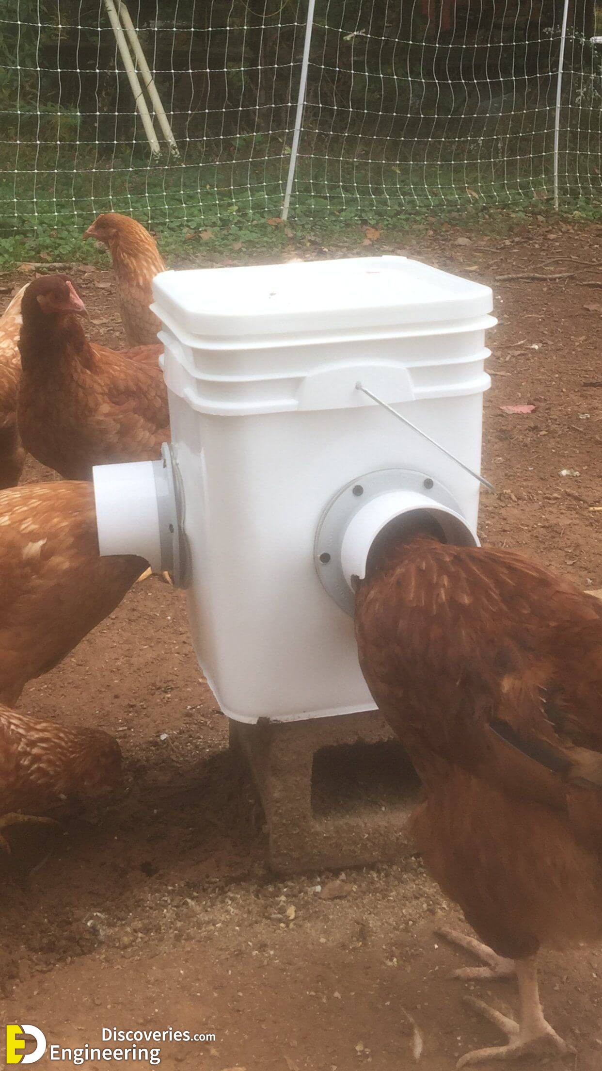 How To Use PVC Pipe For Chicken Feeder Engineering Discoveries