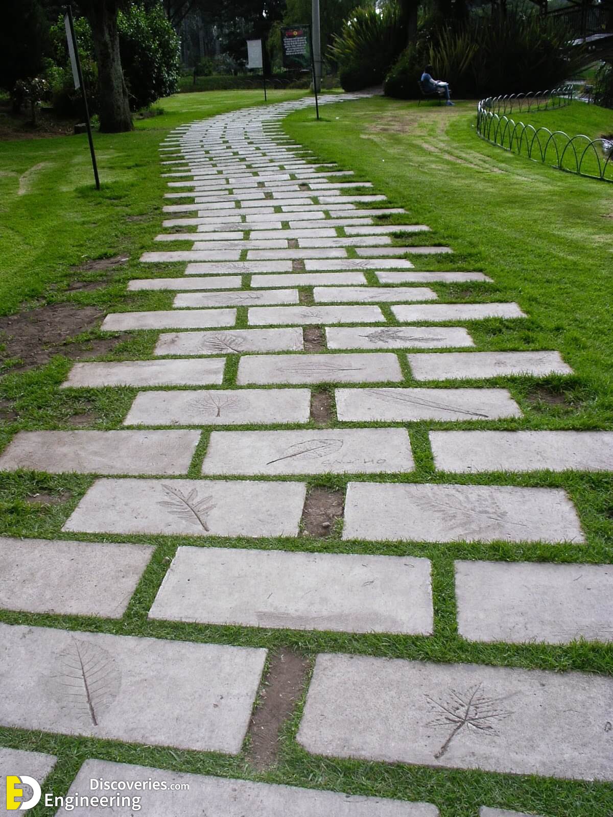 IMGP0955.jpg