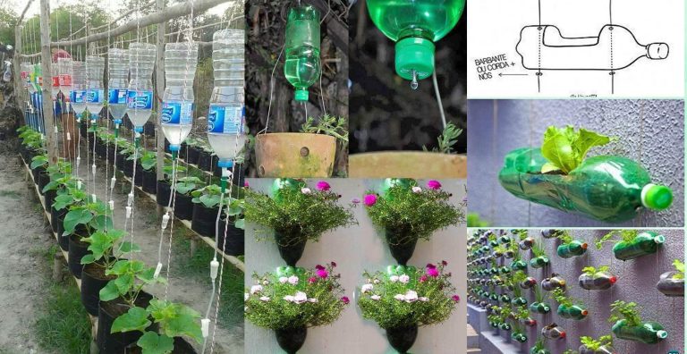 How To Reuse Plastic Bottles For Gardening | Engineering Discoveries