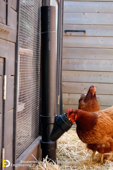 chicken-feeder-2-1.jpg