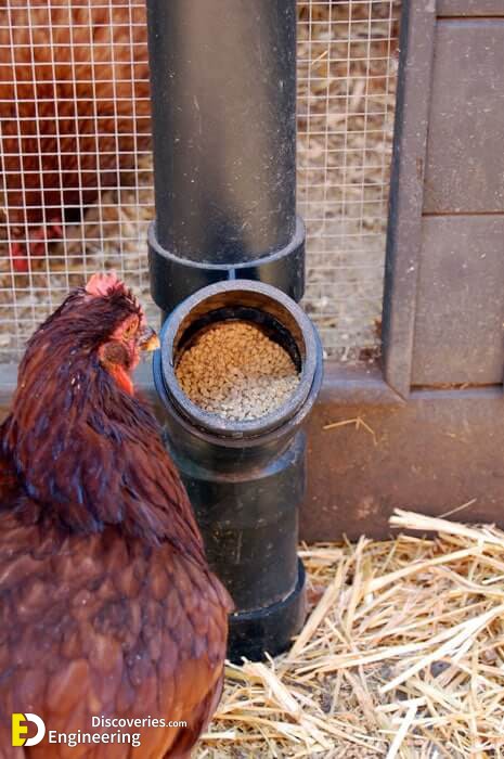 chicken-feeder-4.jpg