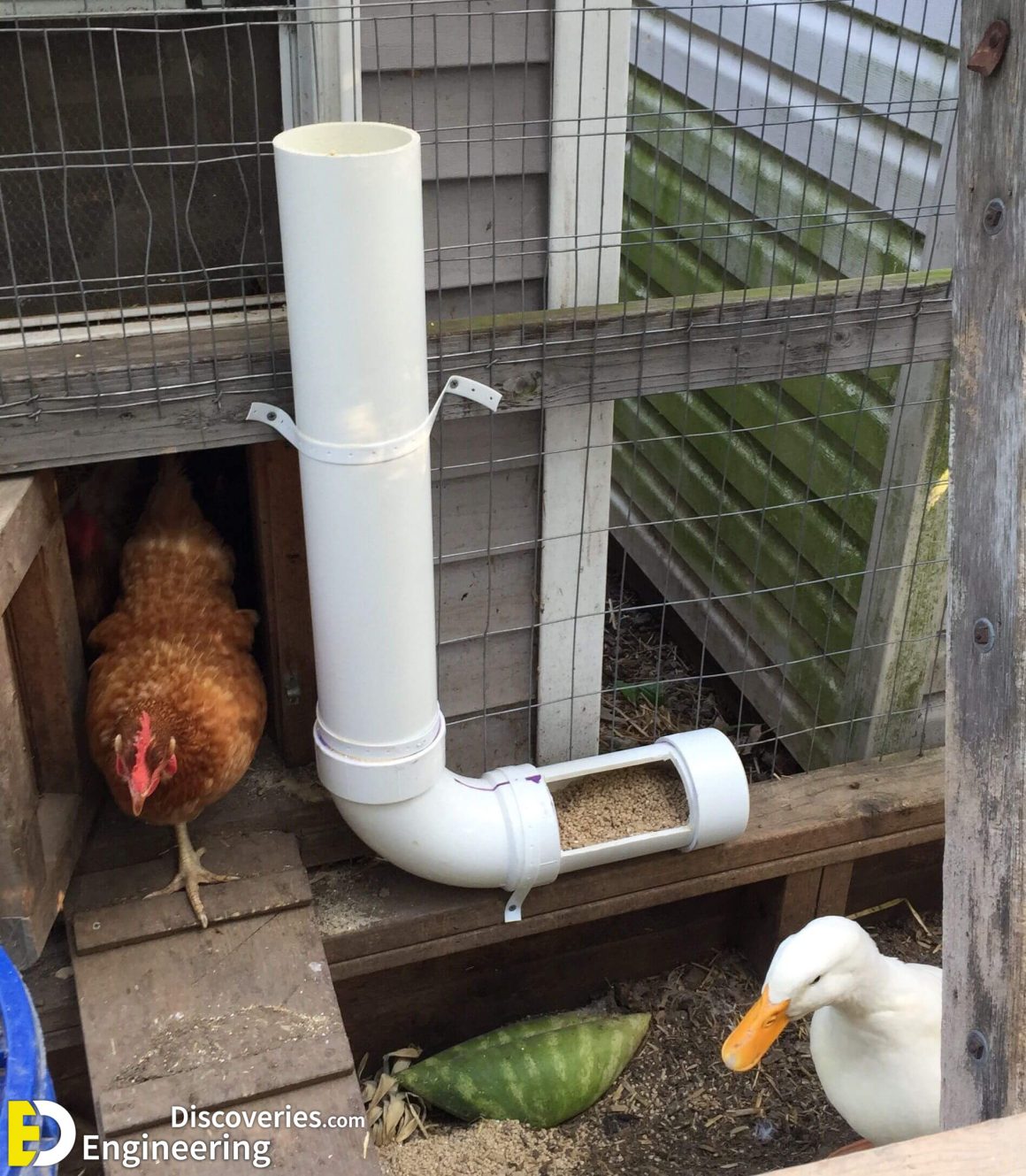 pvc chicken feeder pvc chicken feeder