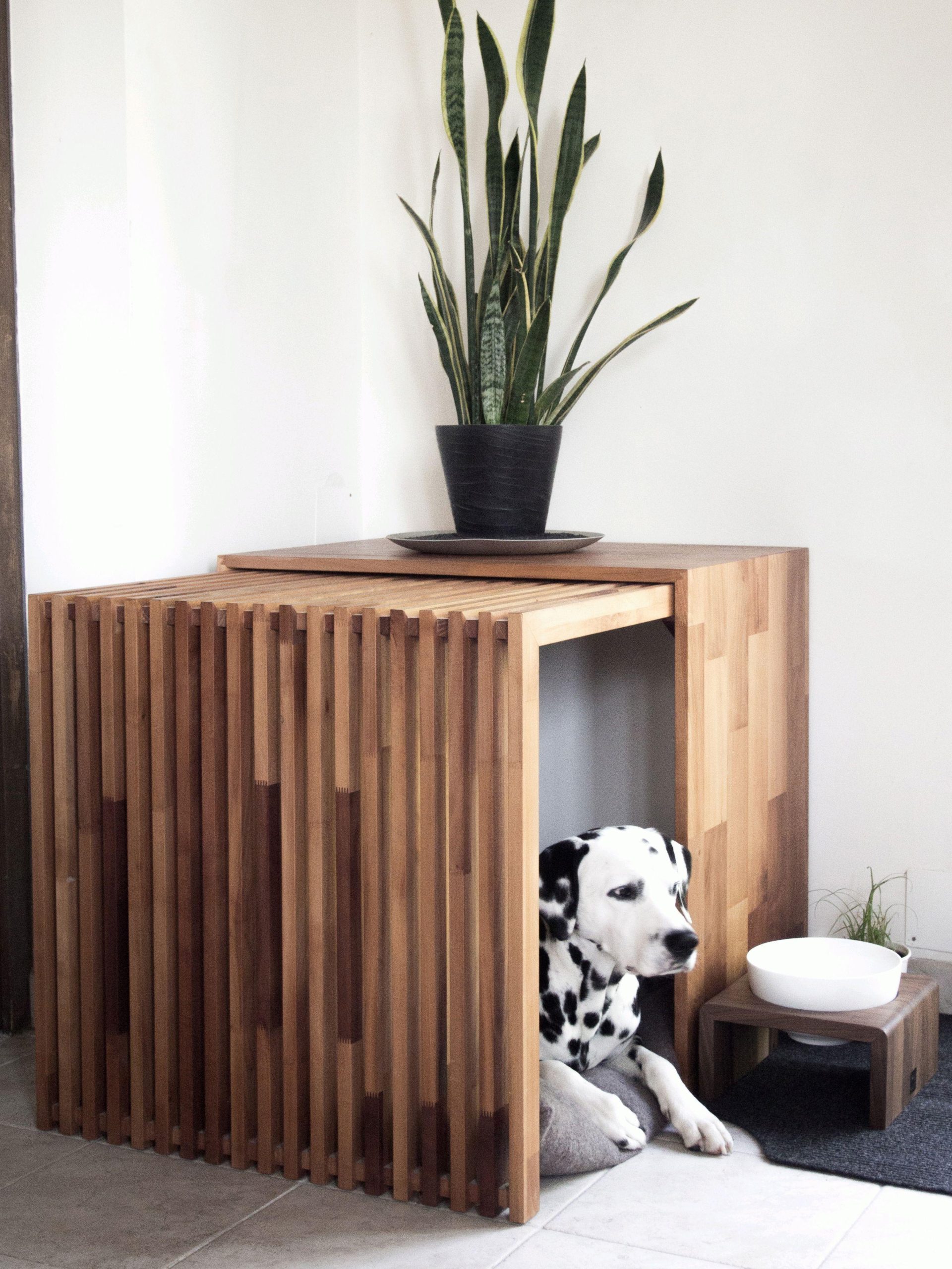 so-schoen-kann-ein-hundeleben-sein-hundebett-sig-ma-design-mt-og__d1bd9420-f4ac-45cd-b40e-70e7c1a23061-scaled.jpeg