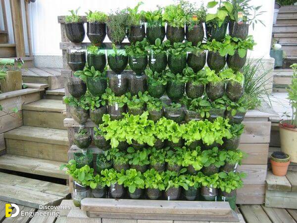 vertical-garden-water-bottle.jpg