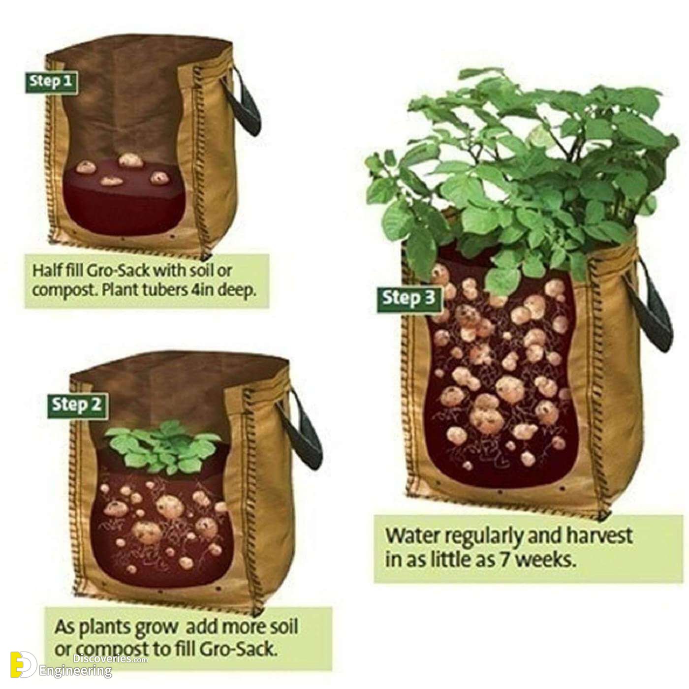 12_abe677cd-a87c-4bb7-b578-01230720031f_1400x.jpg