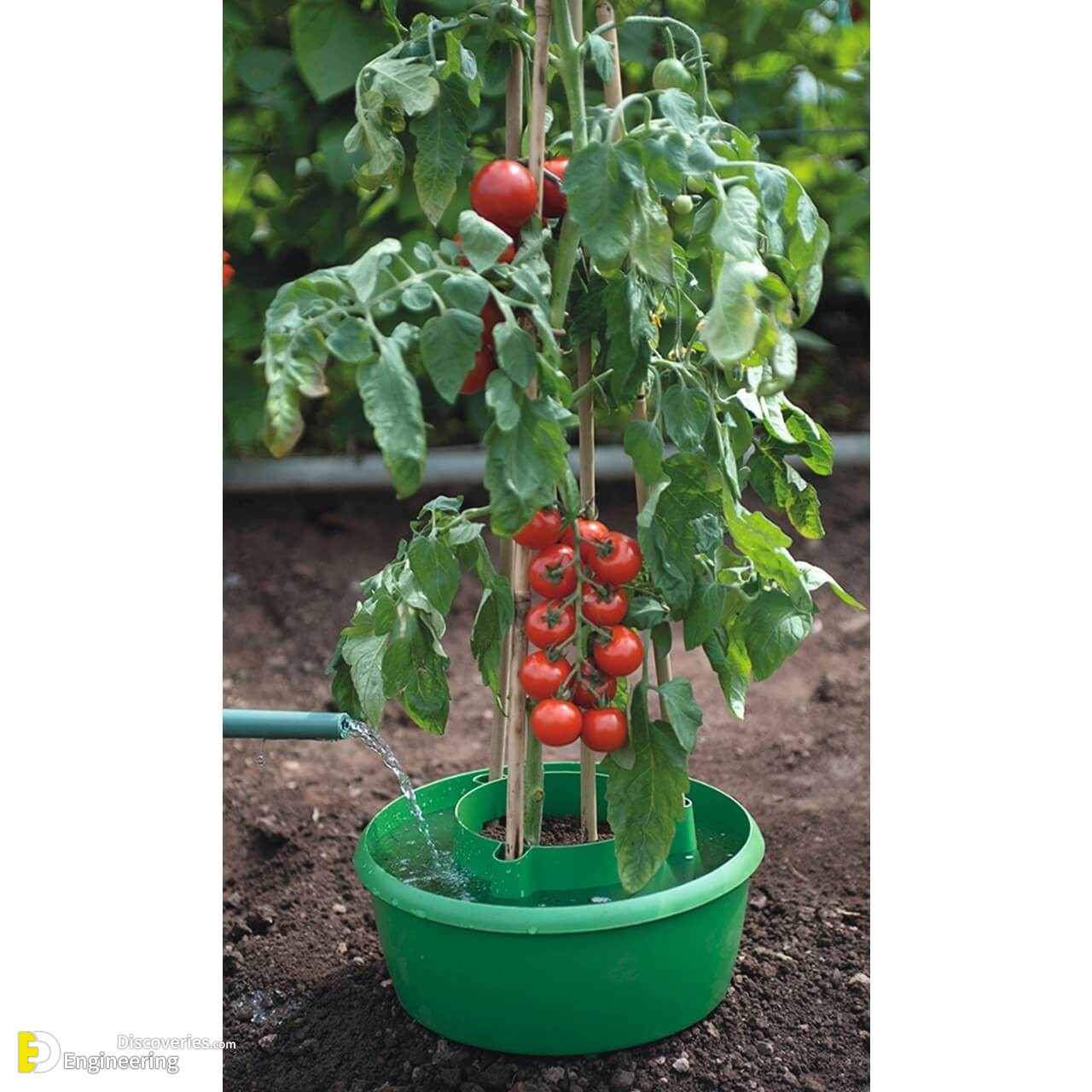 3181378GRN-1__72019.1581332554.jpg