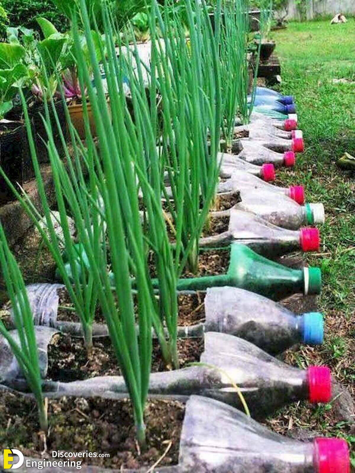 40-Stunning-Vegetable-Garden-Design-Ideas-Perfect-For-Beginners-35.jpg