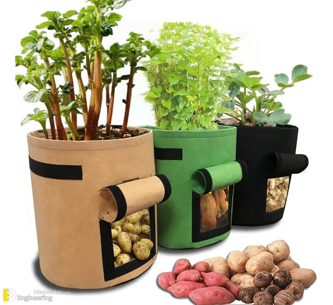 bolso-papero-boniatero-bolso-de-crecimiento-huerta-uy-D_NQ_NP_895323-MLU40742054406_022020-F.jpg