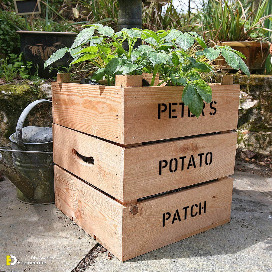 original_personalised-potato-planter-crate.jpg