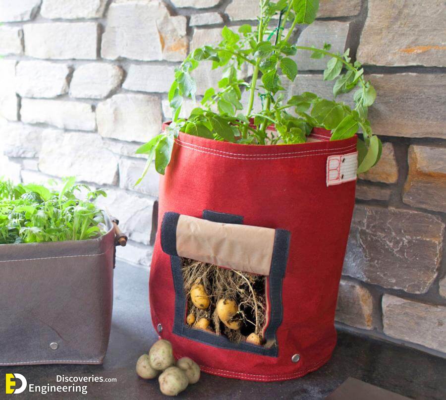 this-potato-planter-has-a-flap-for-picking-your-potatoes-without-digging-through-dirt-0.jpg