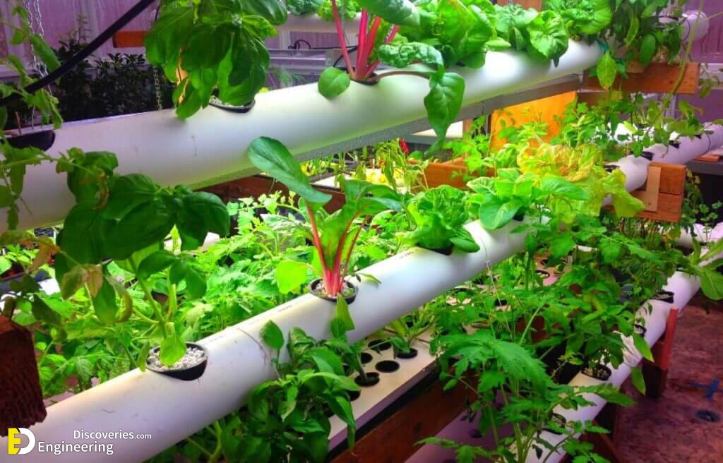 10-Best-DIY-Cheap-Container-Gardening-Ideas-Anyone-Can-Use-10-1024x656-1.jpg