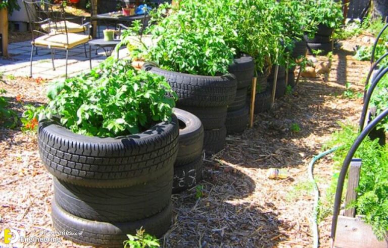 30 Easy Container Vegetable Garden Ideas For Your Yard 