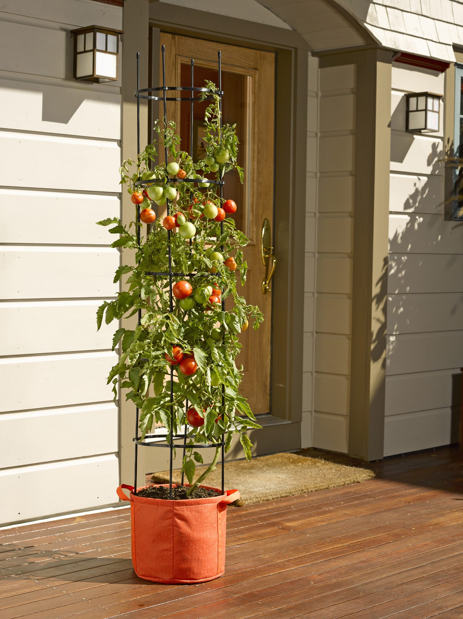 30-easy-container-vegetable-garden-ideas-for-your-yard-engineering